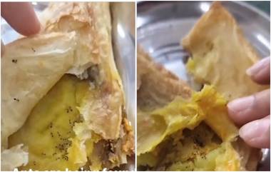 Dead Ants In Samosa Video Viral: समोसा कसला! मेलेल्या मुंग्यांचे वारुळच; दिल्ली येथील महाविद्यालयातील व्हिडिओ व्हायरल