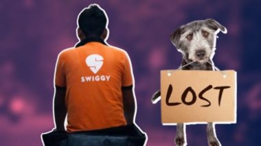 Swiggy Pawlice: स्वीगी पॉलिस, फूड डिलीव्हरी सोबतच हरवलेले पाळीव प्राणीसुद्धा शोधून देणार; वाचा सविस्तर