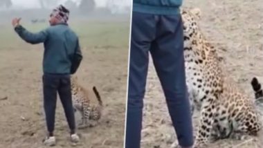 Selfie With Leopard: ना प्राणीसंग्रहालय, ना उद्यान...थेट शेतात तरूणाचा बिबट्यासबोत सेल्फी; तरूणाचा व्हिडिओ व्हायरल (Watch Video)