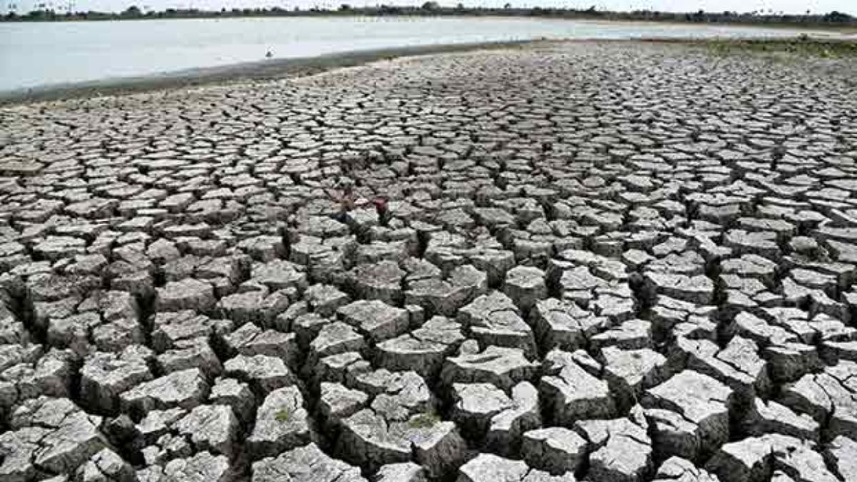 Water Shortage: बंगळुरूमध्ये पाण्याचे भीषण संकट! दुप्पट भावाने विकले जात आहे पाणी