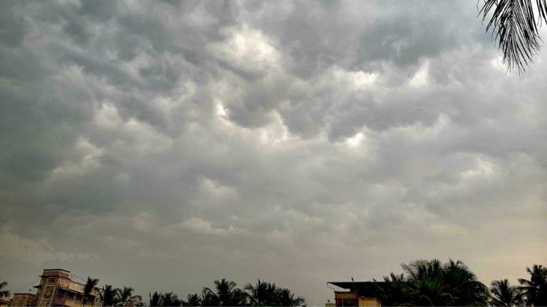 Weather Update : कोकण, मध्य महाराष्ट्रासह मराठवाड्यात विजांच्या कडकडाटासह पावसाची शक्यता; हवामान विभागाचा अंदाज