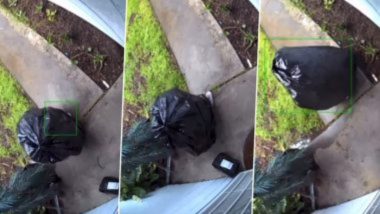 Viral Video : घराबाहेरील पार्सल चोरण्यासाठी चक्क कचऱ्याच्या पिशवीत चोर लपला, घटना सीसीटीव्हीत कैद (Watch Video)