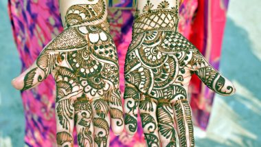 Mehndi Designs For Wedding 2024: लग्नसराईत काढता येतील अशा हटके मेहेंदी डिझाईन, पाहा व्हिडीओ