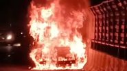 Car Caught Fire on Flyover: दिल्लीच्या सागरपूर उड्डाणपुलावर कारला अचानक आग, पोलिसांकडून घटनेचा तपास सुरु (Watch Video)