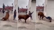 Bull Attacks Woman: पिसाळलेल्या बैलाच्या हल्लात महिला गंभीर जखमी, जुना व्हिडिओ व्हायरल (Watch Video)