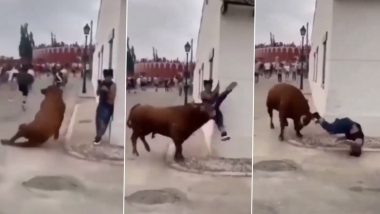 Bull Attacks Woman: पिसाळलेल्या बैलाच्या हल्लात महिला गंभीर जखमी, जुना व्हिडिओ व्हायरल (Watch Video)