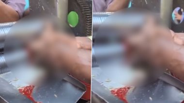West Bengal: उसाचा रस काढण्याच्या यंत्रात चिरडली एका माणसाची बोटे, त्रासदायक व्हिडिओ व्हायरल