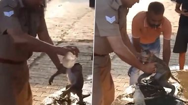 Bulandshahr: बुलंदशहर येथील पोलीस ठाण्याच्या आवारात उष्णतेमुळे बेशुद्ध झालेल्या माकडाचा वाचवला जीव, व्हिडीओ व्हायरल