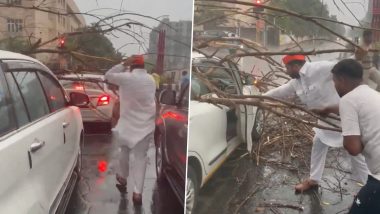 Mahesh Landage Video: धावत्या कारवर कोसळलं झाड, भरपावसात आमदार महेश लांडगे धावले मदतीसाठी, व्हिडिओ व्हायरल होताच PMCने घेतली दखल