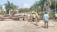 Hyderabad Shocker: दुचाकीवरून जात असताना कोसळले झाड, पतीचा जागीच मृत्यू, घटना CCTV कैद (Watch Video)