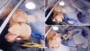 Man Beating Pet Dog: लिफ्टमध्ये पाळीव कुत्र्याला बेदम मारहाण, घटना CCTV कॅमेऱ्यात कैद, नेटकरी संपापले