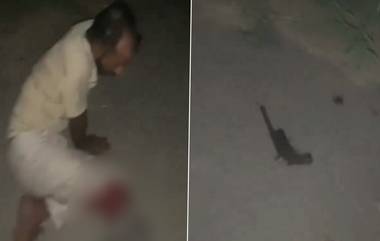 UP Encounter: गाझियाबादमध्ये आरोपी आणि पोलिसांत चकमक, एक जण जखमी (Watch Video)