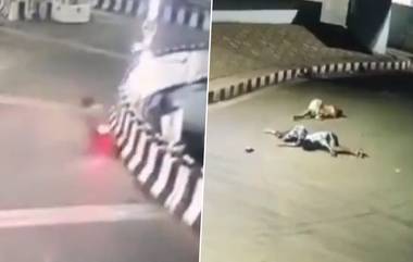 NAD Flyover Road Accident: अनियंत्रित बाईक दुभाजकाला धडकली, पूलावरून खाली पडून दोघांचा मृत्यू (Watch Video)