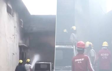 Fire In Mattress Company Of Raipur: रायपूरच्या गोंडवारा येथील गादी कंपनीला भीषण आग, 2 महिला मजुरांचा मृत्यू