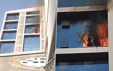 Pune Fire: पुण्यातील विमान नगर परिसरातील निवासी इमारतीला आग