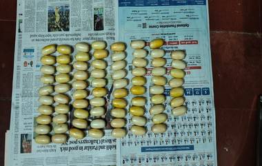 DRI Mumbai Zonal Unit: CSMI विमानतळावरुन 15 कोटी रुपये किमतीचे 1468 ग्रॅम Cocaine Capsule जप्त