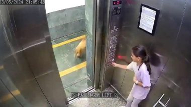 Dog Attack In Noida Housing Society Lift: नोएडा मध्ये रहिवाशी इमारतीच्या लिफ्टमध्ये कुत्र्याचा चिमुकलीवर हल्ला; घटना सीसीटीव्हीत कैद (Watch Video)