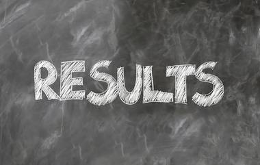 CTET Result 2024 Announced: सीबीएसई कडून CTET December 2024 Results जाहीर; cbseresults.nic.in वर पहा स्कोअरकार्ड