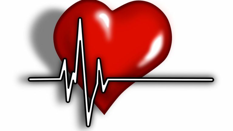 Cardiovascular Disease in Women: 44% स्थूल महिलांमध्ये हृद्यरोगाशी निगडीत आजार - PGIMER study