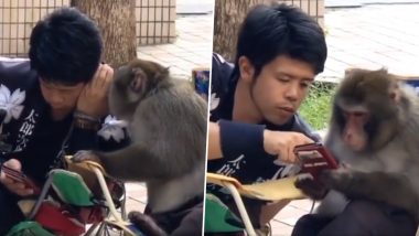 Viral Video: माकडाने माणसाच्या कानात हळूवारपणे काहीतरी सांगितले, त्यांच्या संभाषणाचा मजेदार व्हिडिओ व्हायरल