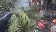 Mumbai Rains: जोगेश्वरी च्या मेघवाडी नाका परिसरामध्ये रिक्षावर कोसळलं झाड, एकजण जखमी (Watch Video)
