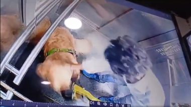 सोसायटीच्या लिफ्टमध्ये पाळीव कुत्र्यास बेदम मारहाण (Watch Video)