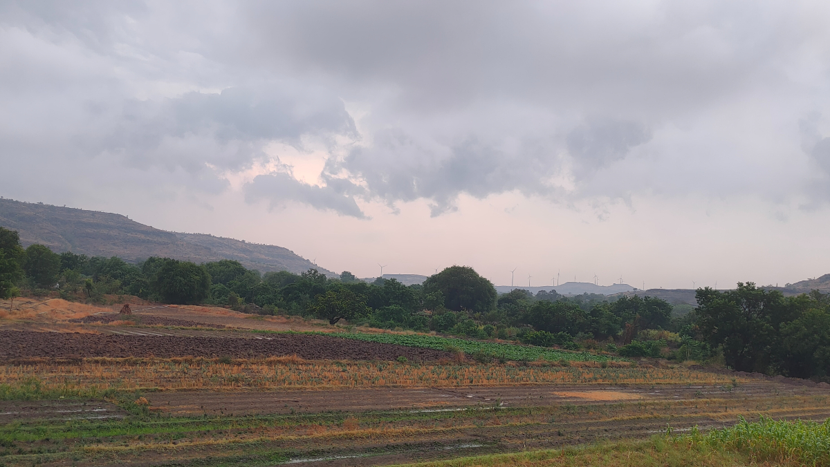 Weather Forecast for Monsoon: उष्णतेच्या लाटेवर मान्सूनचे पाणी, तापमान घटणार, जाणून घ्या हवामान अंदाज