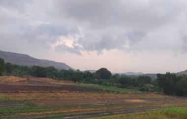 Maharashtra Weather Update: मतमोजणीला सुरुवात होताच राज्यातील 'या' ठिकाणी पाऊसाची एन्ट्री, जाणून 'घ्या' हवामान अंदाज