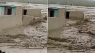 Afghanistan Flash Floods: मुसळधार पावसामुळे अफगानिस्तानमध्ये 50 जणांचा मृत्यू (Watch Video)