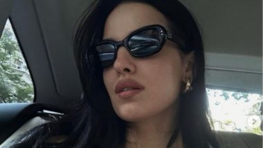 Hardik Pandya Natasha Stankovic Divorce: नताशा स्टॅनकोविक हिने इंस्टाग्रामवरून पांड्या आडनाव हटवले; सोशल मीडियावर घटस्फोटाची चर्चा
