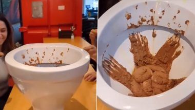 Chocolate Ice Cream in Toilet Seat: ओएमजी! टॉयलेट सीटवर दिलेले चॉकलेट आईस्क्रीम, व्हिडीओ व्हायरल