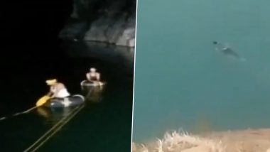 Jharkhand Shocker: साहिबगंजमध्ये Reel बनवण्याच्या नादात तरुणाने 100 फूट उंचीवरून मारली उडी; पाण्यात बुडून मृत्यू (Watch Video)