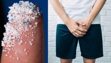 Microplastics Detected In Human Testicles: पुरूषांच्या अंडकोषांमध्ये आढळले मायक्रोप्लास्टिक्स; प्रजनन क्षमतेवर होऊ शकतो परिणाम, अभ्यासात धक्कादायक खुलासा