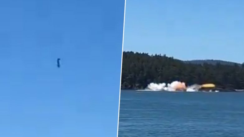 Seattle Plane Crashed: वॉशिंग्टन येथील सिएटलजवळ विमान कोसळलं, युएस अंतराळवीर विल्यम अॅंडर्स यांचा मृत्यू (Watch Video)