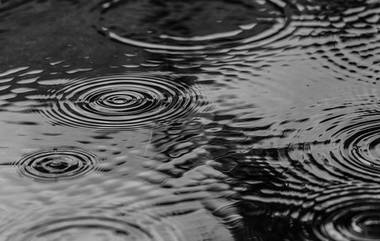 Maharashtra Rain: आज राज्याच्या काही भागात मुसळधार पावसाचा इशारा;  रत्नागिरी आणि सिंधुदुर्ग जिल्ह्याला यलो अलर्ट