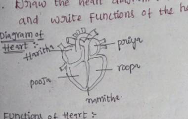 Student's Heart Diagram Goes Viral: उत्तर पत्रिकेत विद्यार्थ्याने काढली ह्रदयाची आकृती, अन् पुढं हद्दच केली पार; सोशल मीडियावर फोटो चर्चेत