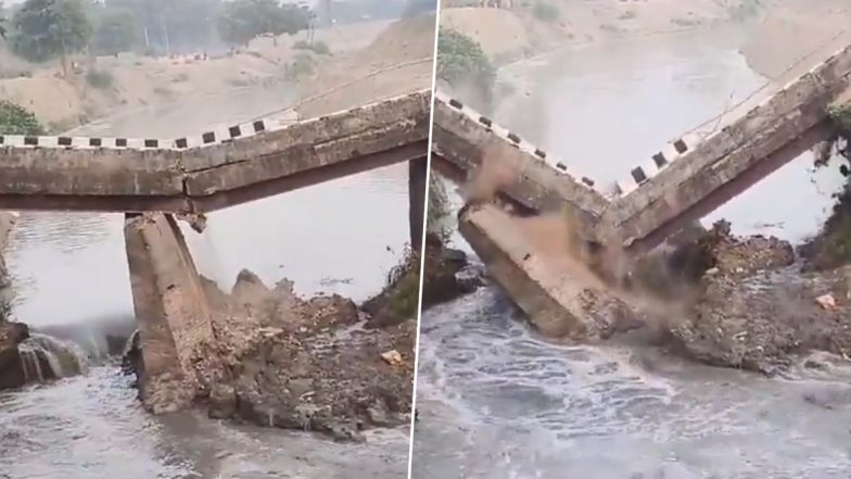 Bihar Bridge Collapsed Video: बिहारमधील गंडक जिल्ह्यात दोन गावांना जोडणारा पुल कोसळला, आठवड्याभरात दुसरी घटना