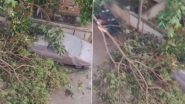 Karnataka Rain: कर्नाटकात जोरदार वादळ आणि पाऊस, बंगळुरूमध्ये अनेक ठिकाणी झाडे उन्मळून पडली (Watch Video)