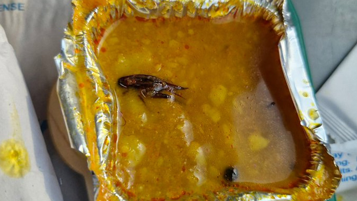 Cockroach Found in Meal on Train: वंदे भारत एक्स्प्रेस ट्रेनमध्ये दिले जाणाऱ्या जेवणात आढळलं झुरळ, रेल्वे प्रशासनाने मागितली माफी