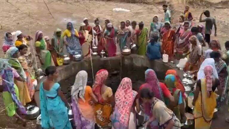 Nashik Water Crisis: नाशिक जिल्ह्यातील पाणीसाठा 8.48 टक्क्यांवर;  विहीरीनी गाठला तळ (Watch Video)