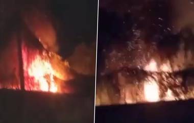 Mohania Fire: मोहनिया पोलिस स्टेशन परिसरात आग, घटनेत दुचाकी जळून खाक (Watch Video)