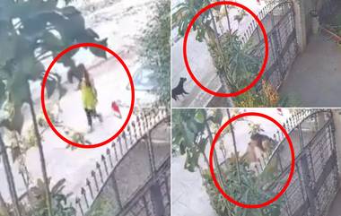 Dog Terror in Chhatrapati Sambhajinagar: छत्रपती संभाजीनगरमध्ये कुत्र्यांची दहशत; रस्त्यावर चालणाऱ्या तरुणीवर हल्ला करण्याचा प्रयत्न, व्हिडिओ व्हायरल