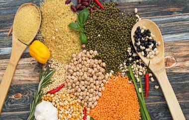 Pulses Prices: पुढील महिन्यापासून किचनच्या बजेटमध्ये होऊ शकते घट; हरभरा, तूर आणि उडीद डाळींच्या किमती कमी होण्याची शक्यता