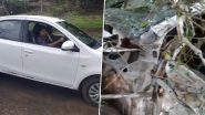 Sambhaji Nagar Accident: रील काढताना Accelerator दाबला अन् कार थेट दरीत कोसळली, तरुणीने गमावला जीव (Watch Video)
