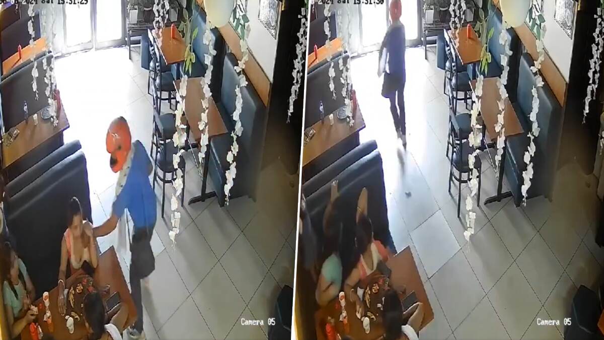 Haryana Chain Snatch Video: पिझ्झा शॉपमध्ये चोरी, सोनसाखळी हिसकावून चोरटा फरार, घटना CCTV कैद