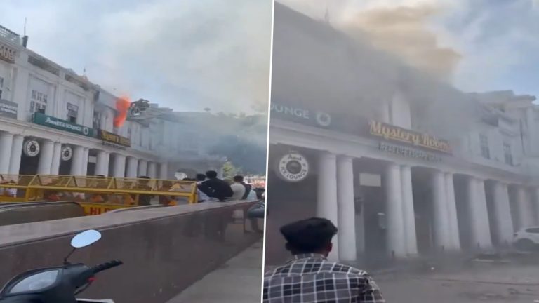 Delhi Fire Video: दिल्लीतील कॅनॉट प्लेसमधील मिस्ट्री रूमला आग, आत अडकलेल्या एका व्यक्तीला अग्निशमन दलाच्या जवानांनी वाचवले