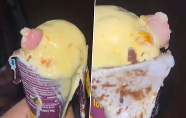 Human Finger in Ice Cream: पुण्याच्या Fortune Dairy ला प्रोडक्शन बंद करण्याचे आदेश; आईस्क्रिम मध्ये मानवी बोट सापडल्याच्या घटनेनंतर FSSAI कडून कारवाई