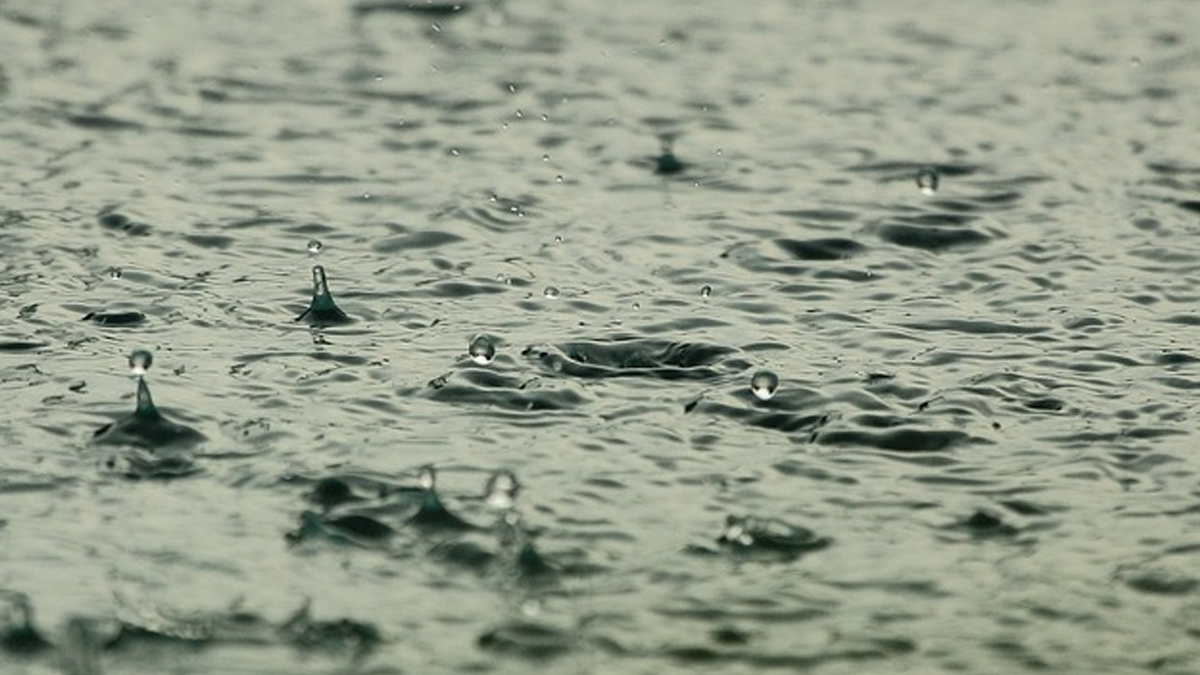 Assam Floods: आसाममध्ये पूरस्थिती गंभीर, 11.5 लाखांहून अधिक लोक बाधित, नागावमध्ये परिस्थिती अत्यंत बिकट