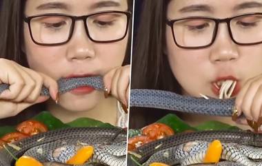 Girl Ate Snake Viral Video: तरुणीने कच्चा खाल्ला साप; यूजर्स म्हणाले, माणूस आहे की जनावर? (Watch Video)