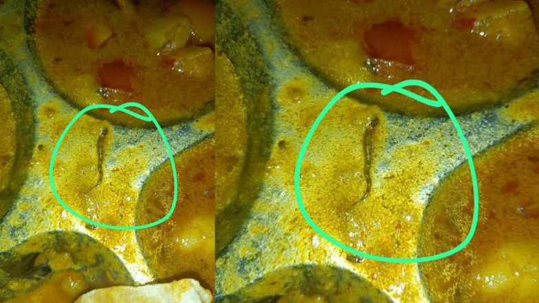 Dead Snake Served In Meal At Govt College: इंजिनीअरिंग कॉलेजच्या कॅन्टीनच्या जेवणात सापडला मृत साप; अनेक विद्यार्थी पडले आजारी (See Photos)